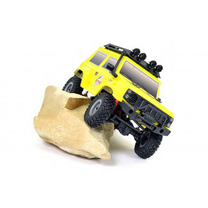 FTX 1:24 Outback Mini 2.0 Paso 4x4 RTR RC Rock Crawler Truck - Yellow